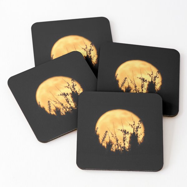 Item preview, Moon with Plant Silhouettes designed and sold by lunarliza.