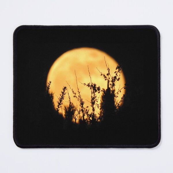 Item preview, Moon with Plant Silhouettes designed and sold by lunarliza.