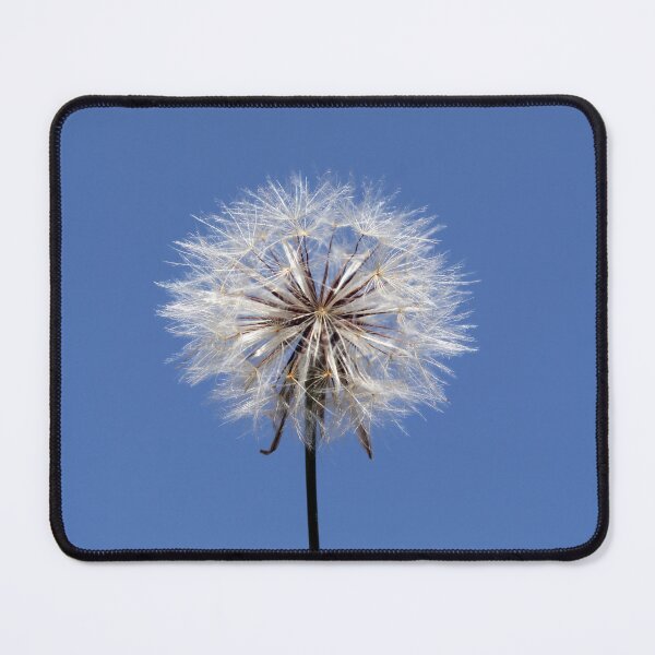 Item preview, Dandelion Seed Head Against Blue Sky designed and sold by 27Tammy27.