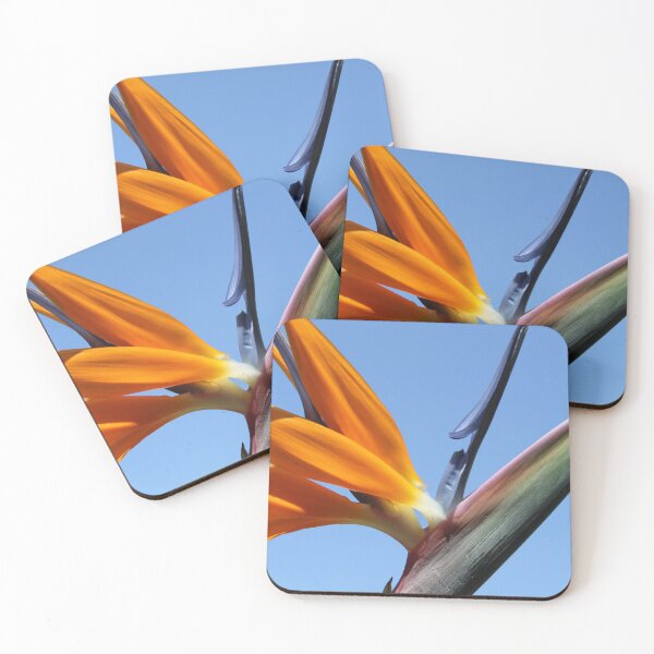 Item preview, Bird of Paradise Flower in a Blue Sky designed and sold by 27Tammy27.