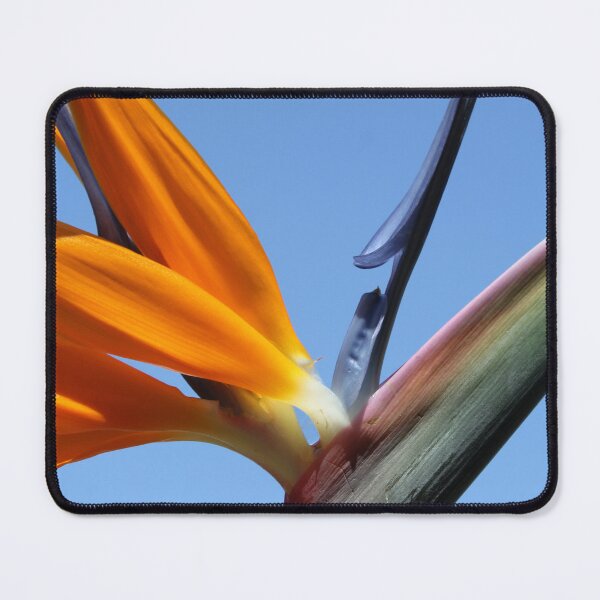 Item preview, Bird of Paradise Flower in a Blue Sky designed and sold by 27Tammy27.