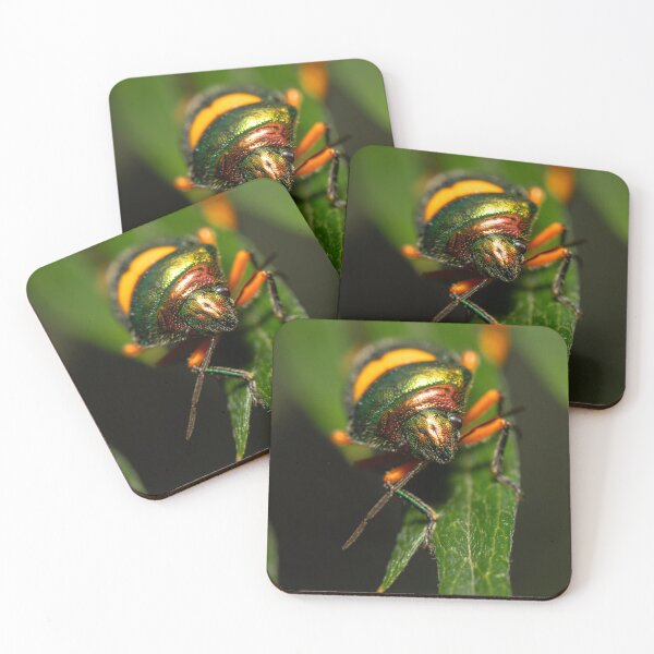 Item preview, Green Jewel Bug designed and sold by robdwildlife.