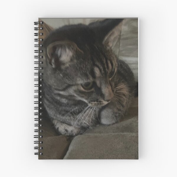 Item preview, Pensive Kitty  designed and sold by Amanda1775.