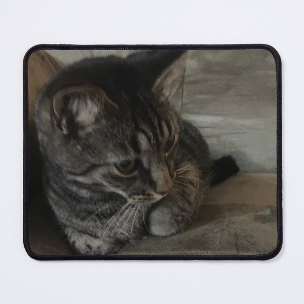Item preview, Pensive Kitty  designed and sold by Amanda1775.