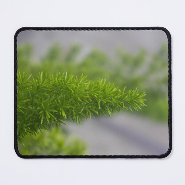 Item preview, Foxtail Fern designed and sold by ROSE ANN BANILAR.