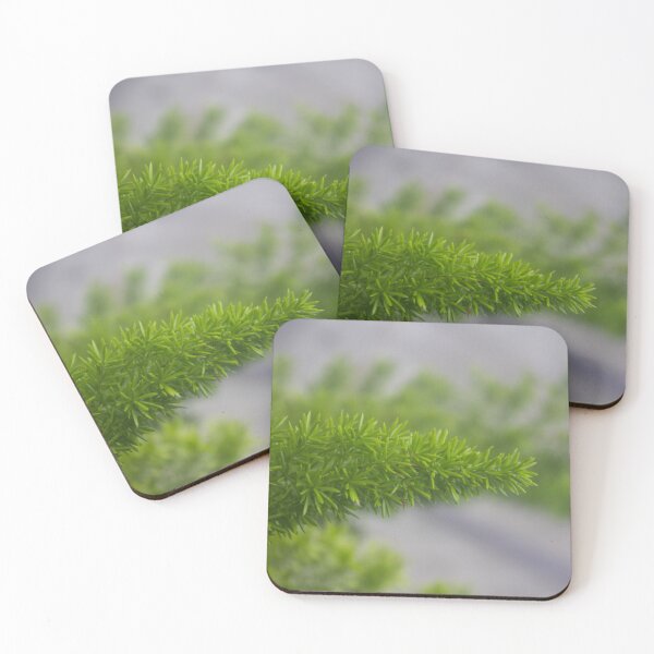 Item preview, Foxtail Fern designed and sold by ROSE ANN BANILAR.