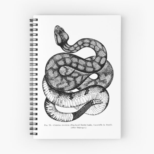 Item preview, Vintage Ophiology South American Rattle Snake Tee T-Shirt T-Shirt designed and sold by Othinus.