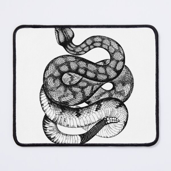 Item preview, Vintage Ophiology South American Rattle Snake Tee T-Shirt T-Shirt designed and sold by Othinus.