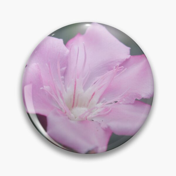 Item preview, Pink Oleander_02 designed and sold by ROSE ANN BANILAR.