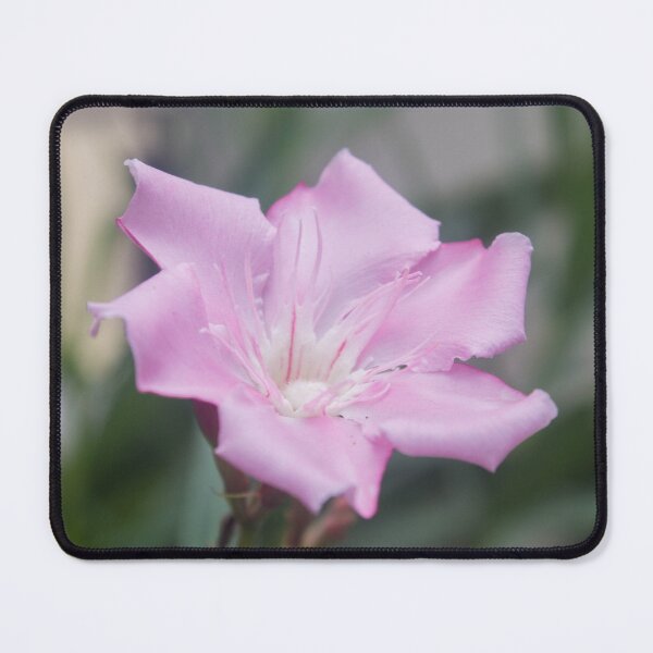 Item preview, Pink Oleander_02 designed and sold by ROSE ANN BANILAR.