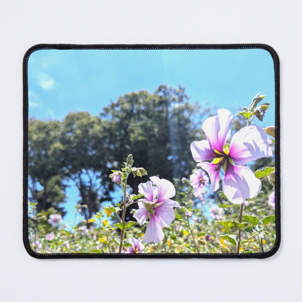 Item preview, Silhouette of *Lavatera trimestris* in bloom. designed and sold by gaohao1.