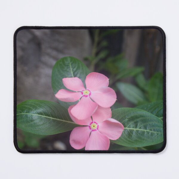 Item preview, Rosy Periwinkle designed and sold by ROSE ANN BANILAR.