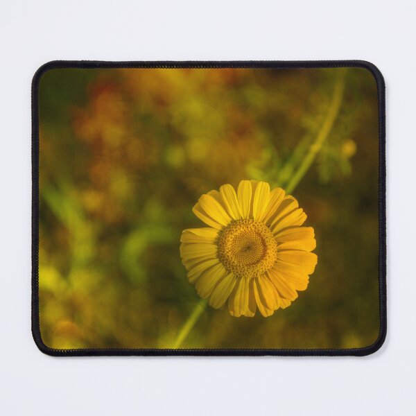 Item preview, Golden Yellow Flower in Bloom designed and sold by Veikko Suikkanen.