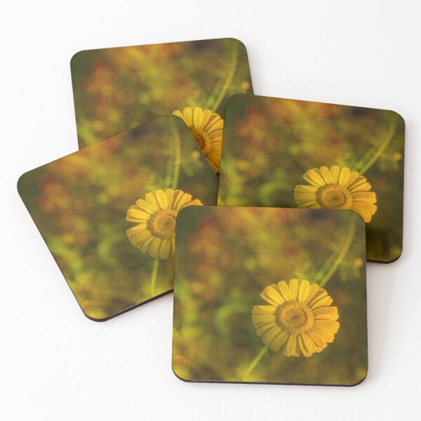 Item preview, Golden Yellow Flower in Bloom designed and sold by Veikko  Suikkanen.