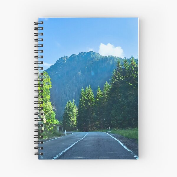 Item preview, Carpathian Forest Road – Romania Mountain Print designed and sold by MSMPrintDesign.