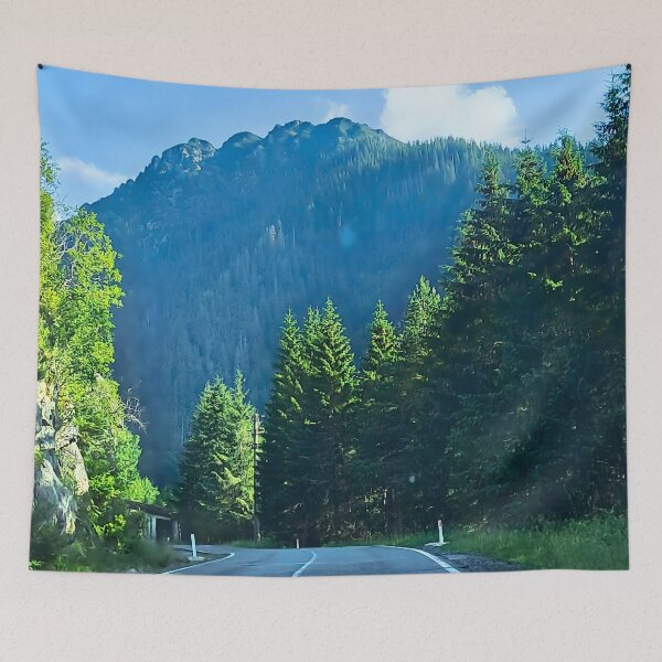 Item preview, Carpathian Forest Road – Romania Mountain Print designed and sold by MSMPrintDesign.