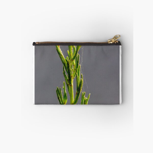 Item preview, Green Plant Stem With Spider Web And Bud Macro Against Soft Gray Background designed and sold by Nmallia.
