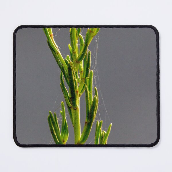 Item preview, Green Plant Stem With Spider Web And Bud Macro Against Soft Gray Background designed and sold by Nmallia.