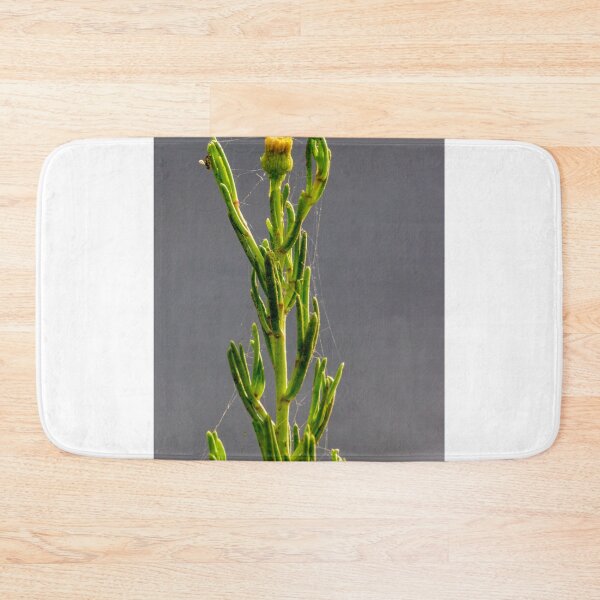 Item preview, Green Plant Stem With Spider Web And Bud Macro Against Soft Gray Background designed and sold by Nmallia.