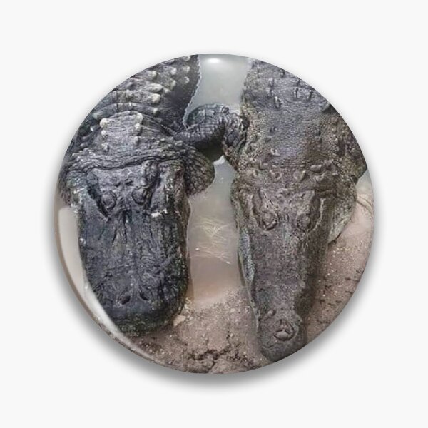 Item preview, Crocodile just been to the dentist designed and sold by Inspired Arts.