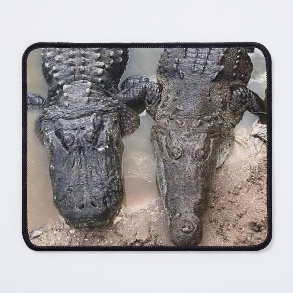 Item preview, Crocodile just been to the dentist designed and sold by Inspired Arts.