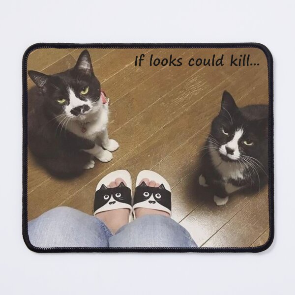 Item preview, Cats giving their owner an evil look designed and sold by Inspired Arts.