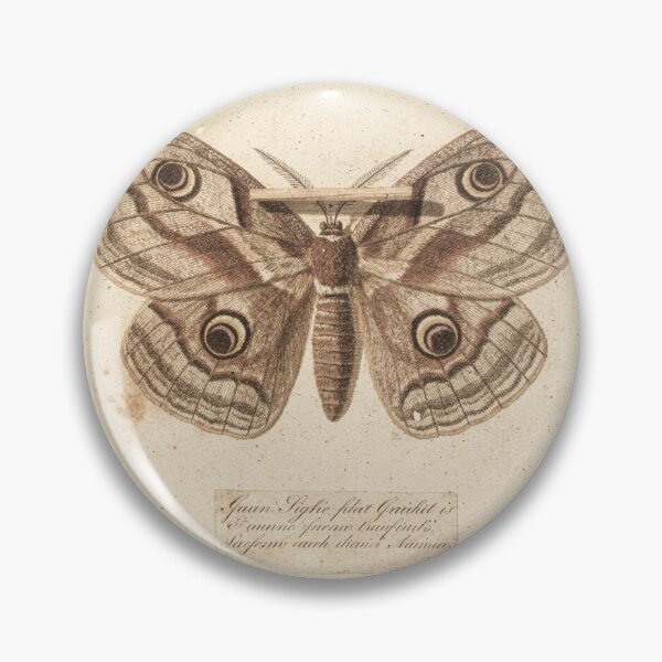 Item preview, Vintage Atlas Moth Specimen Natural History Plate designed and sold by PictorialWhimsy.