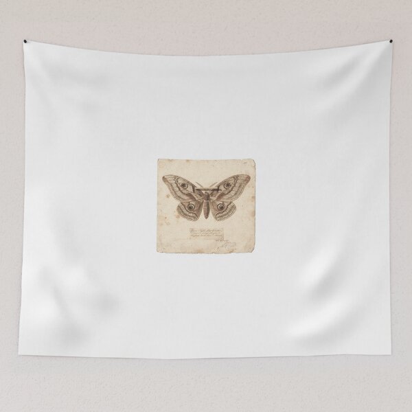 Item preview, Vintage Atlas Moth Specimen Natural History Plate designed and sold by PictorialWhimsy.