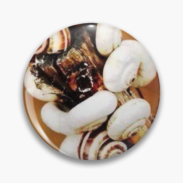 Item preview, White Snails on a Branch - Macro Nature Photography | Golden Autumn Snail Shell Cluster designed and sold by artofuniverse.