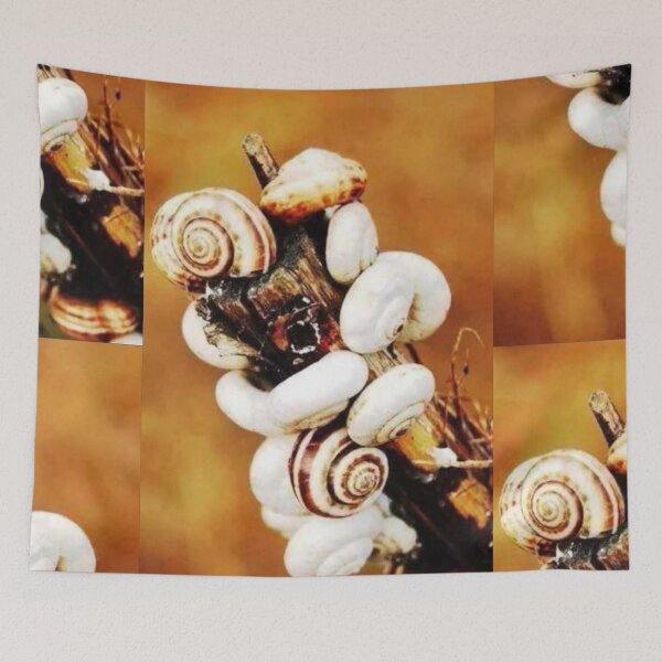Item preview, White Snails on a Branch - Macro Nature Photography | Golden Autumn Snail Shell Cluster designed and sold by artofuniverse.