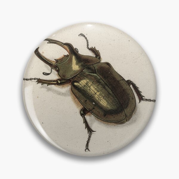 Item preview, Vintage Hercules Beetle Specimen Natural History Plate designed and sold by PictorialWhimsy.