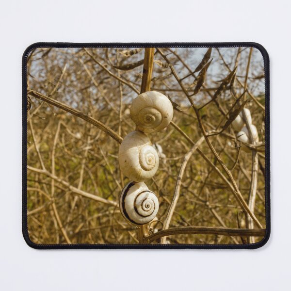 Item preview, Cluster Of White Garden Snails On Young Tree Branches Showing Infestation And Texture designed and sold by Nmallia.