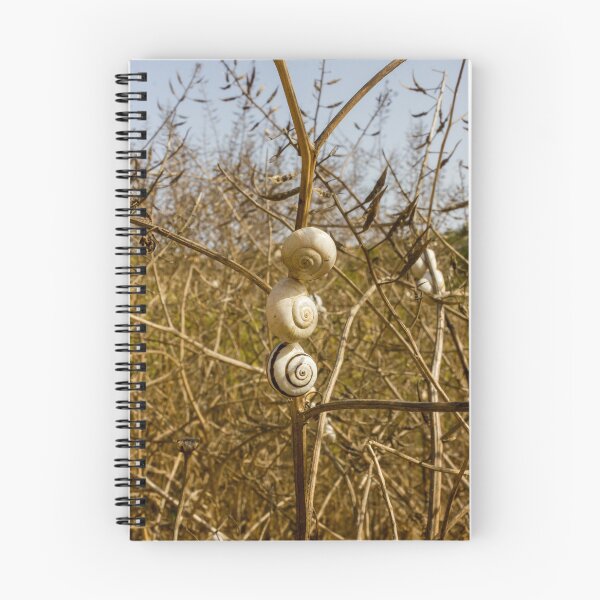 Item preview, Cluster Of White Garden Snails On Young Tree Branches Showing Infestation And Texture designed and sold by Nmallia.