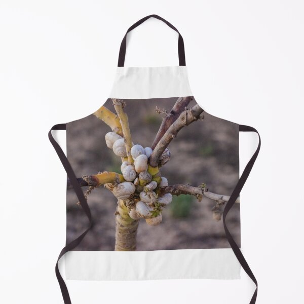 Item preview, Cluster Of White Garden Snails On Young Tree Branches Showing Infestation And Texture designed and sold by Nmallia.