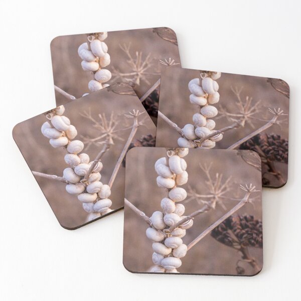 Item preview, Cluster Of White Garden Snails On Young Tree Branches Showing Infestation And Texture designed and sold by Nmallia.