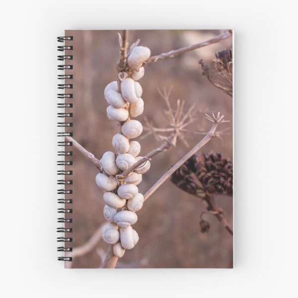 Item preview, Cluster Of White Garden Snails On Young Tree Branches Showing Infestation And Texture designed and sold by Nmallia.