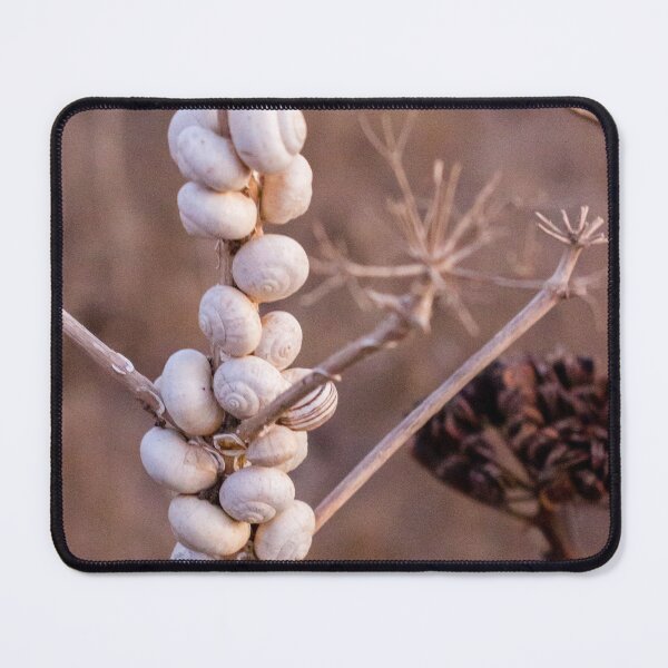 Item preview, Cluster Of White Garden Snails On Young Tree Branches Showing Infestation And Texture designed and sold by Nmallia.