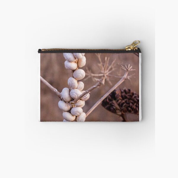 Item preview, Cluster Of White Garden Snails On Young Tree Branches Showing Infestation And Texture designed and sold by Nmallia.