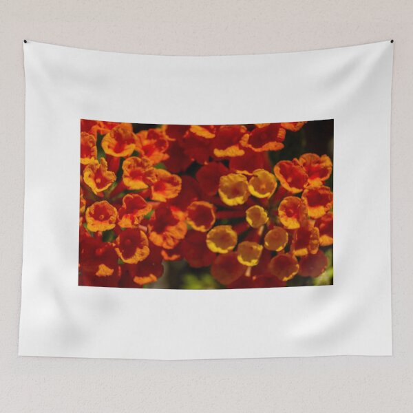 Item preview, Vibrant Orange Lantana Flower Cluster Macro Shot in Sunlit Garden With Shallow Depth of Field designed and sold by Nmallia.