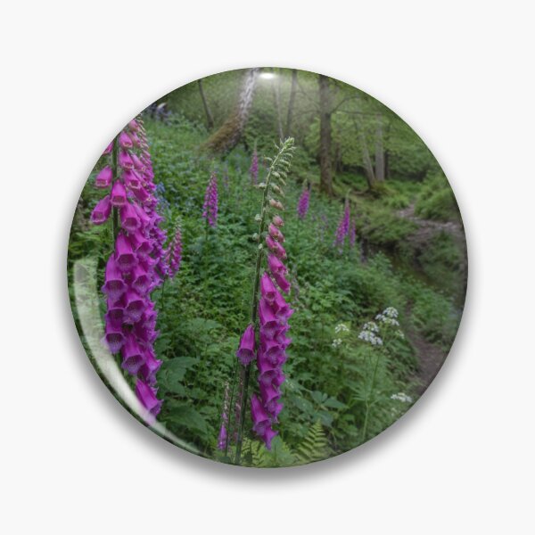 Item preview, Foxgloves Along a Woodland Path – Surrey Countryside Photography designed and sold by ThatSurreyLife.