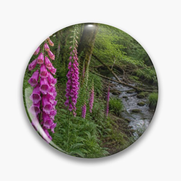 Item preview, Foxgloves Beside a Woodland Stream – Surrey Nature Photography designed and sold by ThatSurreyLife.
