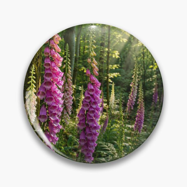 Item preview, Foxgloves in Sunlit Woodland – Surrey Forest Nature Photography designed and sold by ThatSurreyLife.