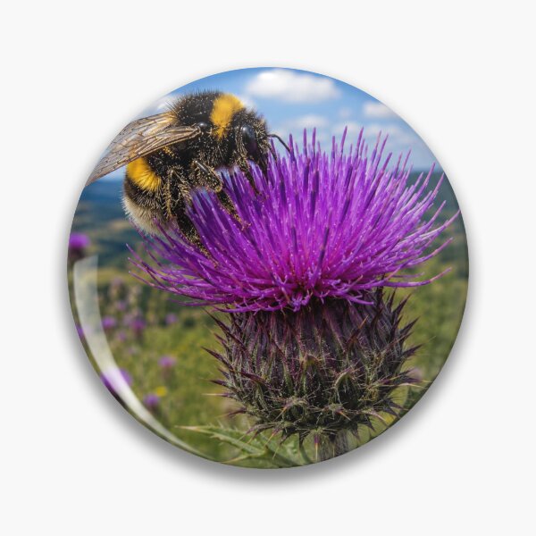 Item preview, Bumblebee on Thistle Wildflower Meadow – Surrey Nature Photography designed and sold by ThatSurreyLife.