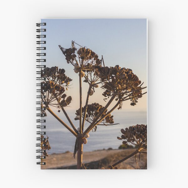 Item preview, Dried Umbel Seedheads Silhouette at Sunset Over Calm Coastal Sea and Rocky Shoreline designed and sold by Nmallia.