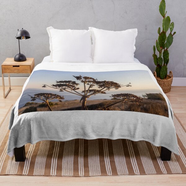 Item preview, Dried Umbel Seedheads Silhouette at Sunset Over Calm Coastal Sea and Rocky Shoreline designed and sold by Nmallia.