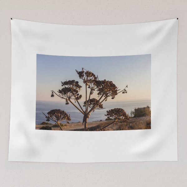 Item preview, Dried Umbel Seedheads Silhouette at Sunset Over Calm Coastal Sea and Rocky Shoreline designed and sold by Nmallia.