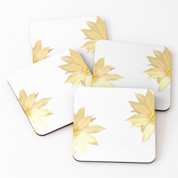 Item preview, "Cactus Blossoms in Cream" – Twin Desert Flowers Photography designed and sold by Ezrabilquis7.