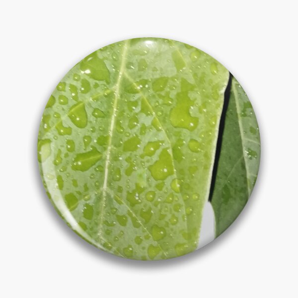 Item preview, Raindrops on Green Leaf – Macro Nature Photography designed and sold by Ezrabilquis7.
