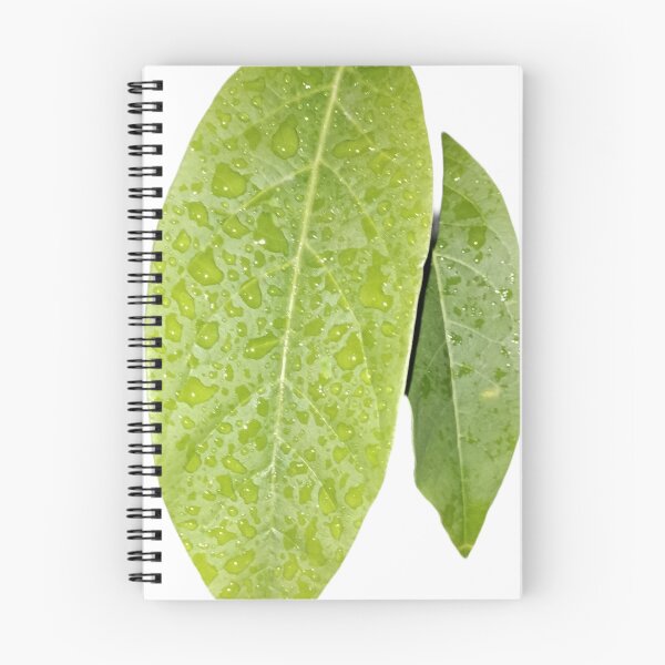 Item preview, Raindrops on Green Leaf – Macro Nature Photography designed and sold by Ezrabilquis7.