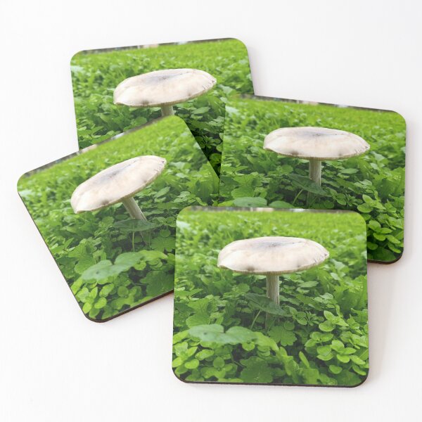 Item preview, Wild Mushroom in a Green Meadow - Macro Nature Photography | Forest Mushroom After Rain designed and sold by artofuniverse.